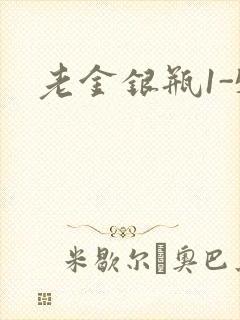 老金银瓶1-5