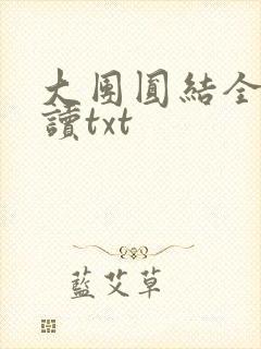 大团圆结全文阅读txt