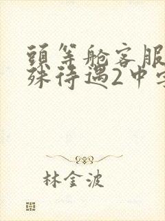 头等舱客服的特殊待遇2中字