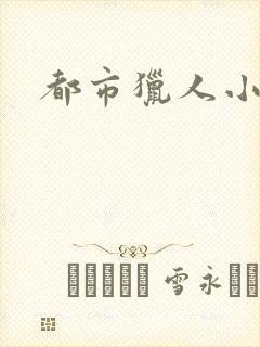 都市猎人小说