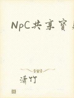 NpC共享宝贝