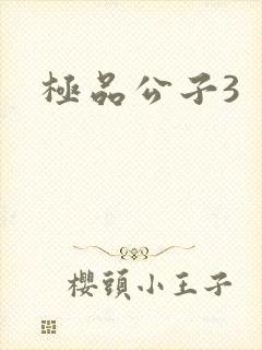 极品公子3