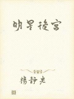 明星后宫