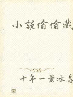 小说偷偷藏不住