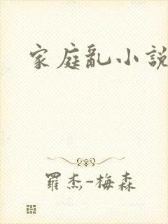 家庭乱小说
