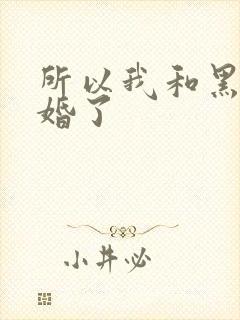 所以我和黑粉结婚了
