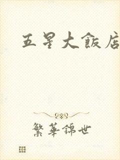 五星大饭店小说