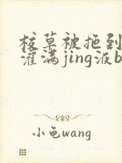 校草被拖到公厕灌满jing液bl