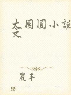 大团圆小说集全文