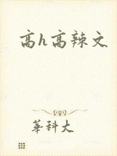 高h高辣文