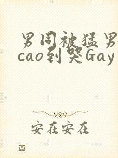 男同被猛男房东cao到哭Gay