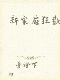 新家庭狂欢小说