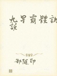 九星霸体诀 小说