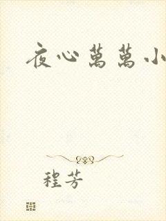 夜心万万小说