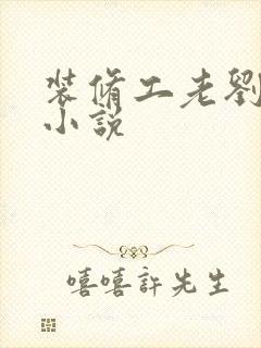 装修工老刘林雪小说