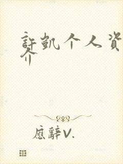 许凯个人资料简介