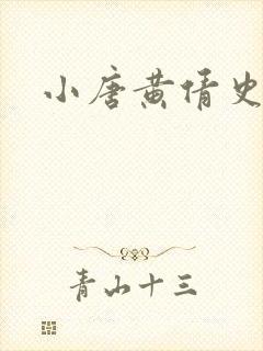 小唐黄倩史