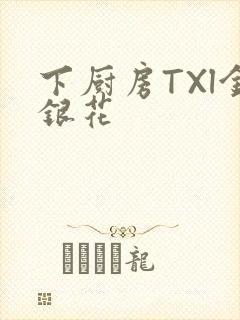 下厨房TXl金银花