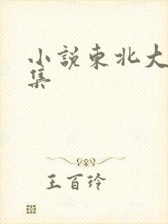 小说东北大炕全集