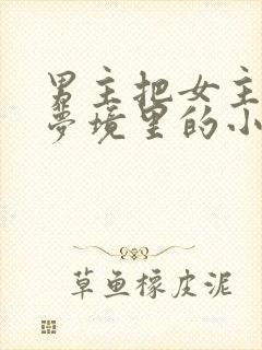 男主把女主拖进梦境里的小说