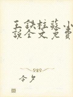 王铁柱苏小汐小说全文免费阅读最新章节