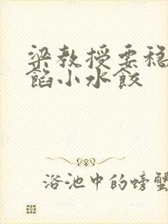 梁教授要稳住肉馅小水饺