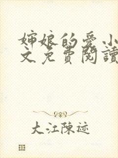 婶娘的爱小说全文免费阅读