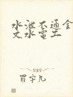 水泄不通金银原文水电工