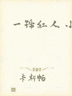 一号红人 小说
