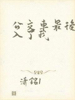 公交车最后一排入了我