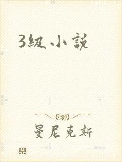 3级小说