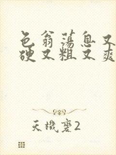 色翁荡息又大又硬又粗又爽