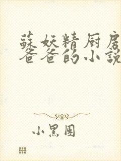 苏妖精厨房爹爹爸爸的小说