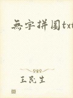 无字拼图txt