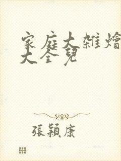 家庭大杂烩小说大全儿