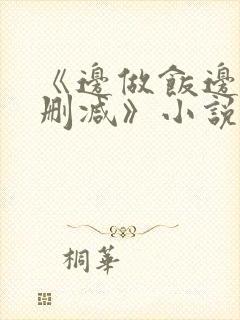 《边做饭边躁无删减》小说