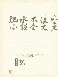 肥水不流外人田小说全文免费阅读1