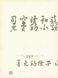 司空靖和苏月汐免费的小说笔趣阁