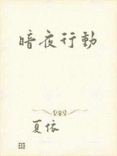 暗夜行动