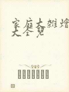 家庭大杂烩小说大全儿