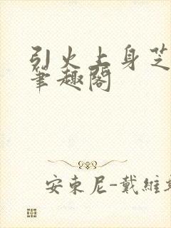 引火上身芝麻糖笔趣阁