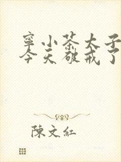 宁小茶太子殿下今天破戒了吗免费阅读