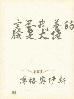 完蛋我养的小白脸是大佬