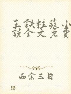 王铁柱苏小汐小说全文免费阅读最新章节