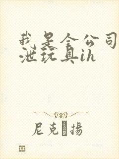 我是全公司的发泄玩具ih