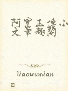 阿宾正传小说全文笔趣阁