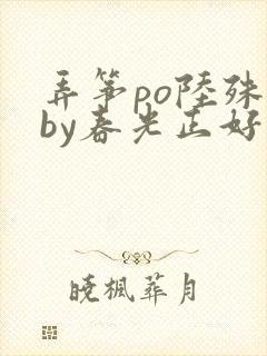 弄筝po陆殊词by春光正好