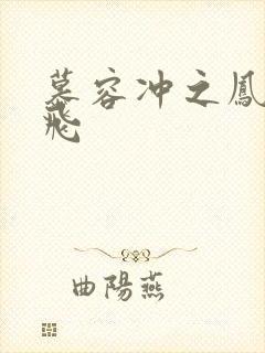 慕容冲之凤凰于飞