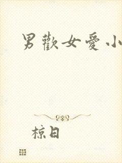 男欢女爱小说