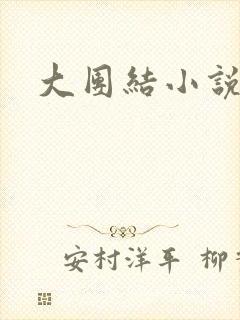 大团结小说全文